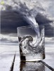 tempete_dans_un_verre_d_eau.gif