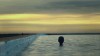 une tête flottante.gif