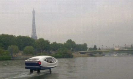 water taxi Paris.gif