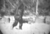 yeti_je_reviens.gif