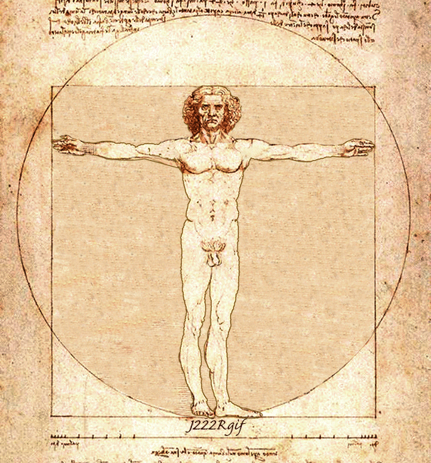 De_Vinci_la_divine_proportion_je_ne_peux_pas_j_ai_piscine.gif