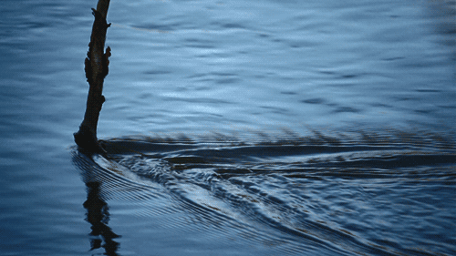 Julien Douvier la ligne de partage des eaux