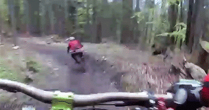 ours_velo.gif