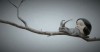 By Noribros (Atsushi Yasuoka) blanche neige la princesse escargot.gif