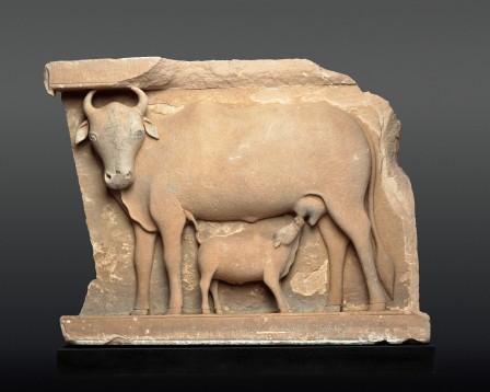Cow Suckling a Calf. India, 9th Century. vache allaitant son veau Art Institute of Chicago