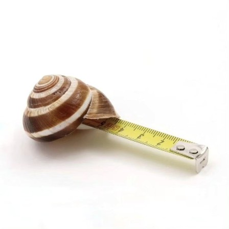 D.D. Trans What would Marcel Broodthears do escargot en temps qu'expert pouvez-vous nous préciser combien de pluie il est tombé ces dernières semaines