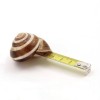 D.D. Trans What would Marcel Broodthears do escargot en temps qu'expert pouvez-vous nous préciser combien de pluie il est tombé ces dernières semaines