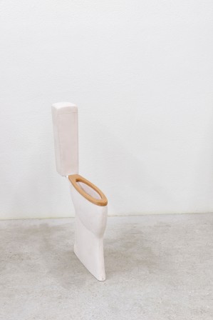 Erwin Wurm Narrow 2014 toilet resin wood toilettes décroissance je n'ai pas de gros besoins