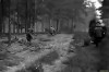 21 April 1945, Germany WW2 journée mondiale des forêts.gif, mar. 2021