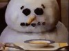 Campbell’s Soup 1988 réchauffement climatique.gif, déc. 2019