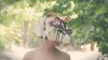Compilation of real image visual experiments and cinemagraphs, hand in hand with Perichole Monchole, Dumacher M la fille en feu.gif, août 2020