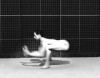 Départ en vacances.gif