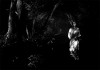 Dracula 1931 dir. Tod Browning.gif, janv. 2020