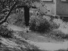 Evald Schorm, {1967} Návrat ztraceného syna (Return Of The Prodigal Son) le danseur suspendu.gif, nov. 2020