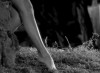 Footlight Parade 1933 sneak Busby Berkeley la sensation étrange de marcher dehors.gif, mai 2020