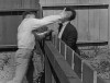 Harold Lloyd Just Neighbors, mon ami le voisin Snub Pollard 1919.gif, nov. 2021