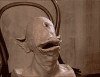 Jan Švankmajer au commencement était le verbe.gif, juin 2023