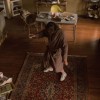 Jeff Bridges The Big Lebowski tai-chi.gif, janv. 2024