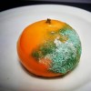 La planète orange.jpg