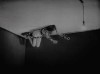 Le Sang d’un Poète Jean Cocteau 1930 chérie les invités sont arrivés tu descends.gif, janv. 2020