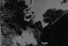 Maya Deren, Meshes of the Afternoon, 1943 une fleur sur ta route.gif, janv. 2022