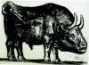 Pablo Picasso le Taureau Lithograph Series 1945.gif, janv. 2020