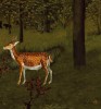 Scorpion Dagger - Birth Of Man Early renaissance painting.gif, oct. 2020