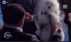 Silvio Berlusconi.gif, juin 2023