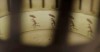 The Conjuring 2 (2016) dir. James Wan rideau jour de vent jour de pluie.gif, nov. 2023