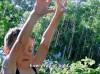 The Tree of Life (2011) dir. Terrence Malick la lumière.gif, mai 2020