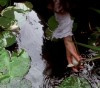 The secret Garden dir. Agnieszka Holland 1993 doucement s'il vous plaît je suis extrêmement sensible des testicules