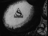 Title Sequence from La femme 100 têtes, Alors je vous présenterai l’oncle (1929).gif, sept. 2021
