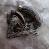 Valeria  Belova alien mon ami.jpg, oct. 2019