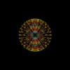 Vector Art by David Szakaly.gif, mai 2020