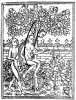 Zu Rudimentum novitiorium, Lucas Brandis, 1475 le paradis du gif.gif, juin 2020