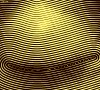 bonjour l'oeil jaune.gif, juin 2023