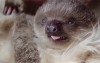 bonne nuit à demain.gif, oct. 2019