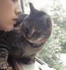 chat je n'aime pas les baisers.gif, août 2019