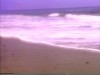 cochon au bord de la mer.gif, sept. 2021