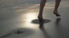 et la mer efface sur le sable les pas des amants désunis.gif, fév. 2021