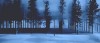 explosion foret.gif, août 2019