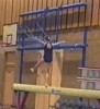 gymnastique féminine championnat de poutre artistique.gif, fév. 2020