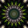 hexeosis plein soleil.gif, mai 2020