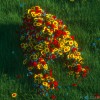 la fuite des fleurs.gif, oct. 2020