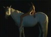 le dos du cheval érotisme.gif, juin 2023