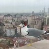 les pionniers de l aviation.gif, mai 2020