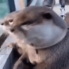 mon dieu et si je m'étais trompé.gif, avr. 2023