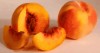 nature morte souffle de vie la nature est immortelle.gif, oct. 2021