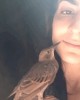oiseau ORL.gif, mai 2020