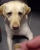 oui j'ai connu l'espoir.gif, août 2019